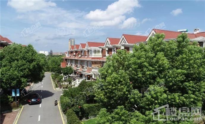 置业东泽博园实景图