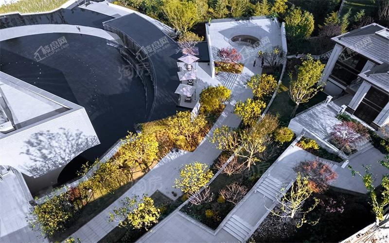 金科龙里东方效果图