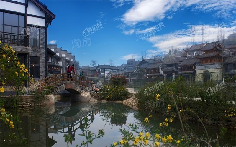 双龙镇·云和春天实景图
