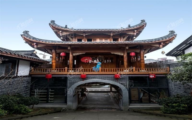 双龙镇·云和春天实景图