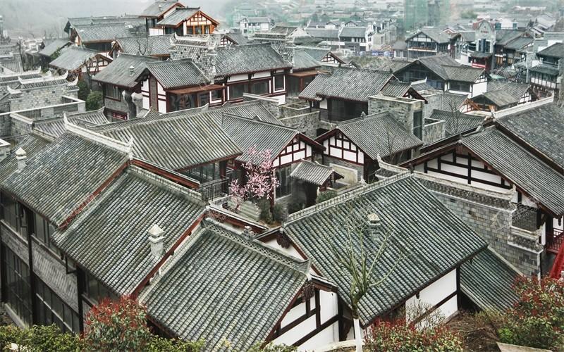双龙镇·云和春天实景图