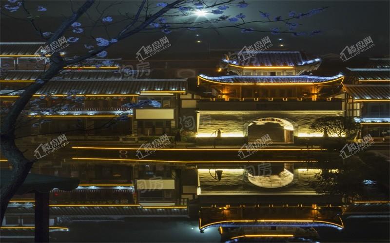 双龙镇·云和春天实景图