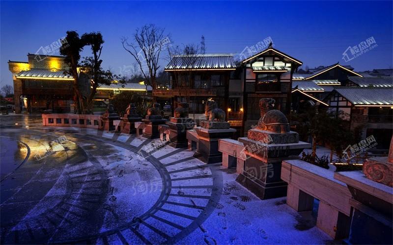 双龙镇·云和春天实景图