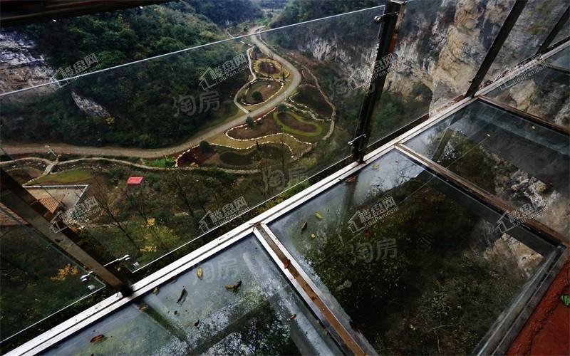 双龙镇·云和春天实景图
