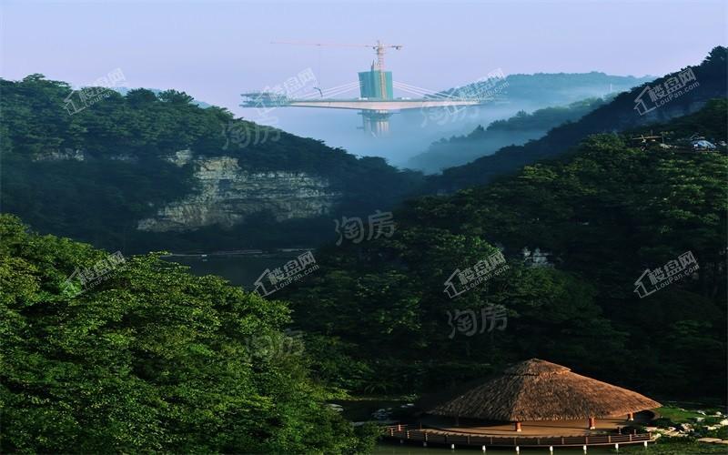双龙镇·云和春天实景图