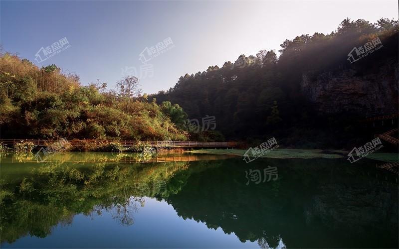 双龙镇·云和春天实景图