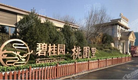 碧桂园桃园里实景图