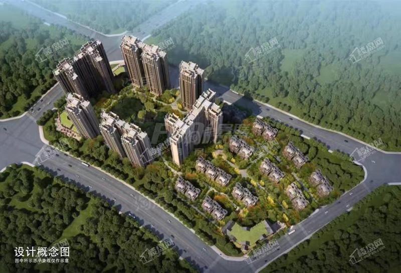 朗基和今缘效果图