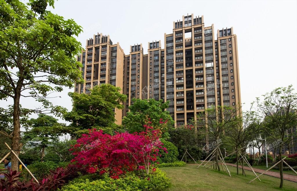 中泰天境实景图