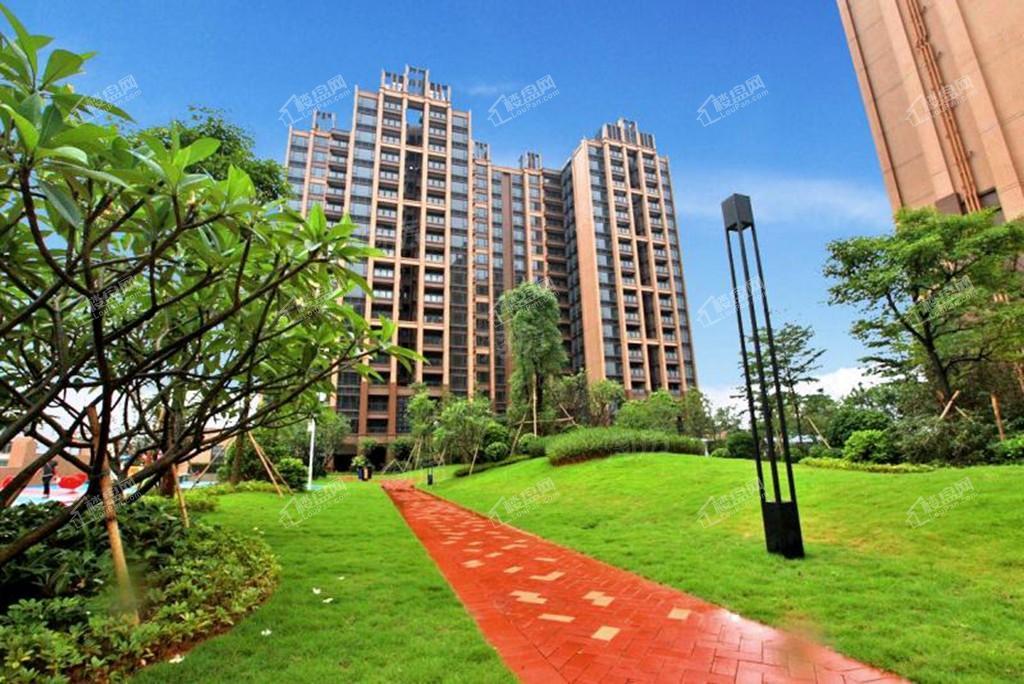 中泰天境实景图