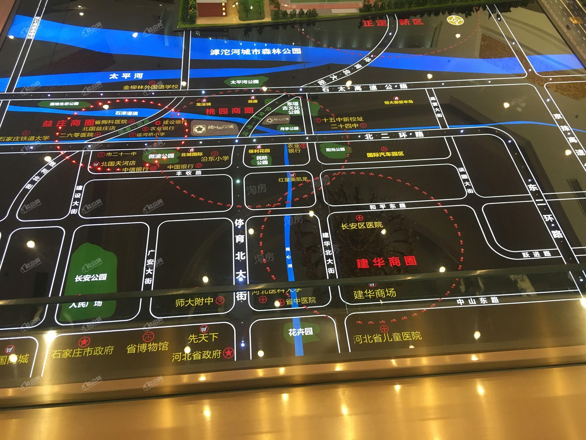 真实·桃园里实景图