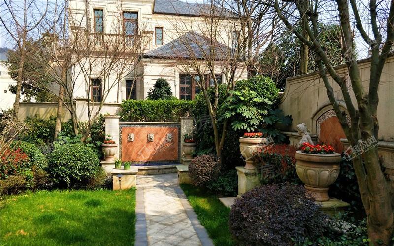 蓝天玫瑰园实景图