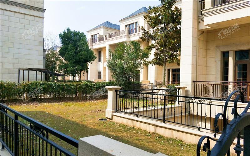 蓝天玫瑰园实景图