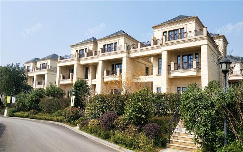 蓝天玫瑰园实景图