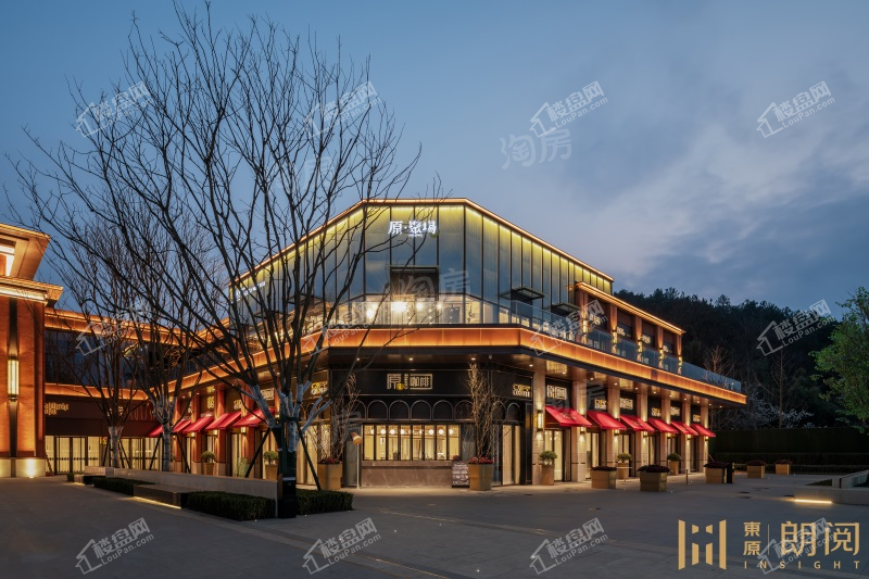 东原·朗阅实景图