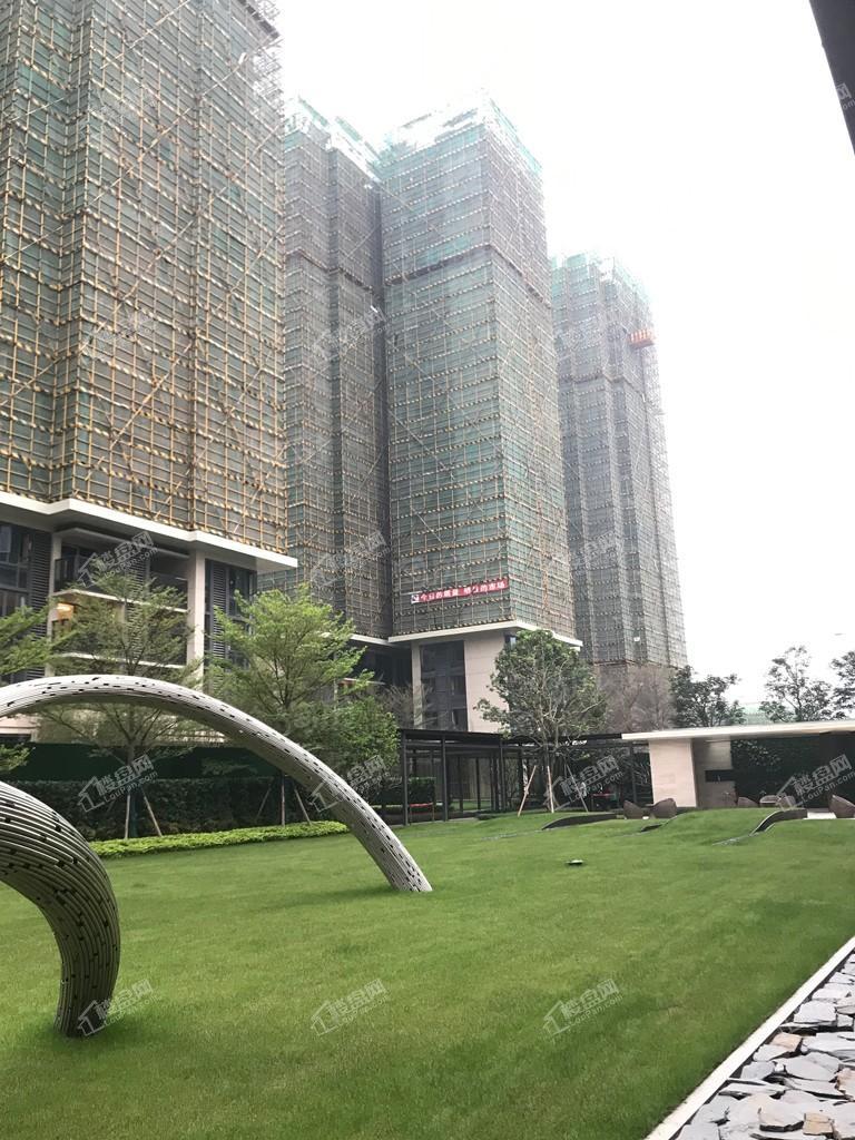 保利碧桂园公园大道实景图