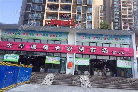 富力院士廷配套图