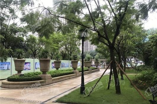 财信北岸江山实景图
