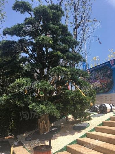 恒大国际文化城实景图