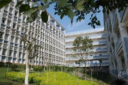 华侨城岚溪云墅配套图