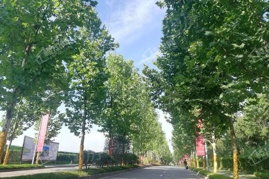 恒大云湖上郡实景图