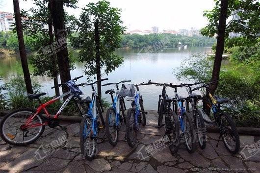 国盛IEC中心配套图