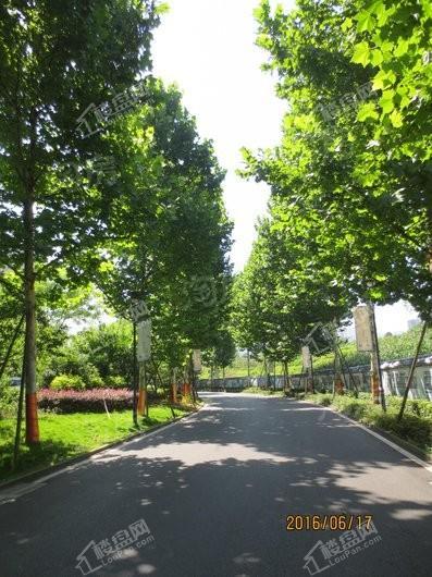 中国铁建·香漫溪岸实景图