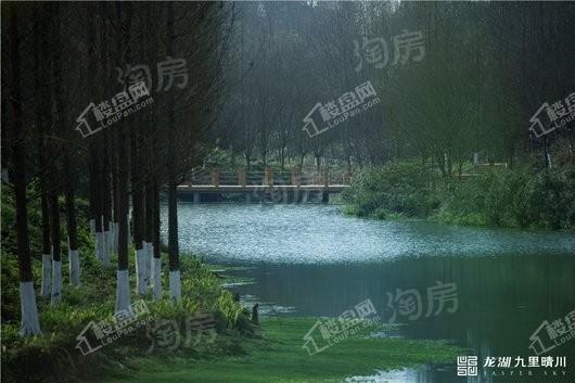 龙湖·九里晴川·揽境配套图