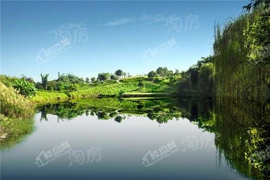 碧桂园长桥江山实景图