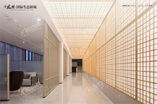 龙兴 · 国际生态新城实景图