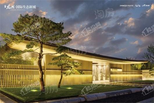 龙兴 · 国际生态新城实景图