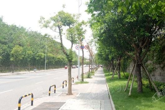 悦麓山配套图