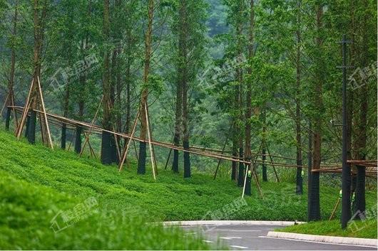 龙湖舜山府实景图