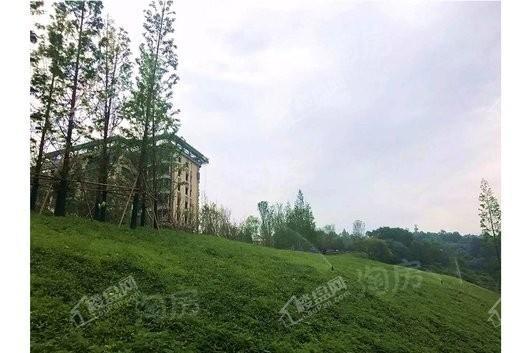 龙湖舜山府实景图