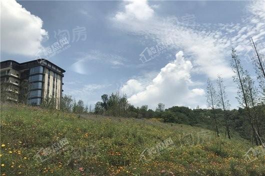 龙湖舜山府实景图