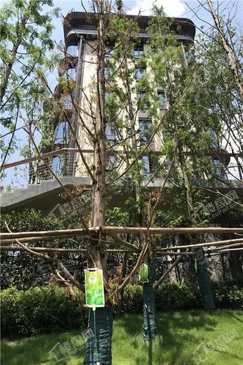 龙湖舜山府实景图