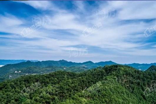 碧桂园天麓实景图