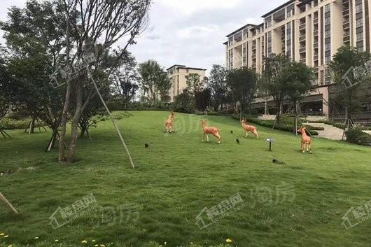 阳光城中央大道实景图