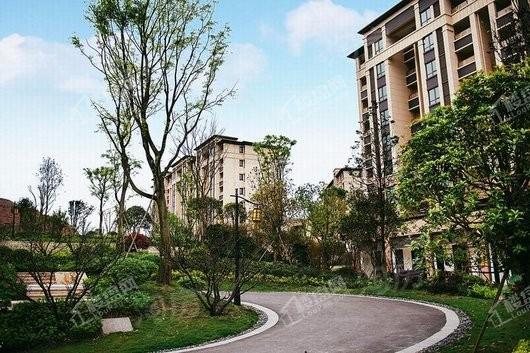阳光城中央大道实景图