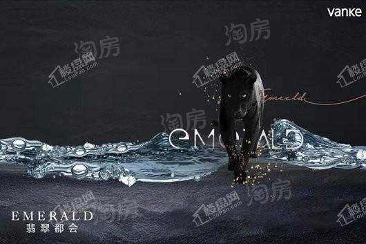 万科翡翠都会实景图