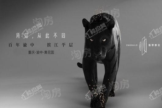 万科翡翠都会效果图