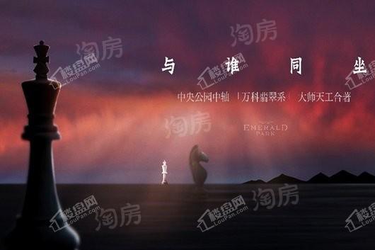 万科翡翠公园效果图