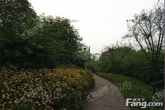 凤凰城润街配套图