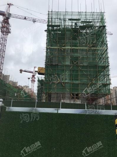 中南紫云集实景图