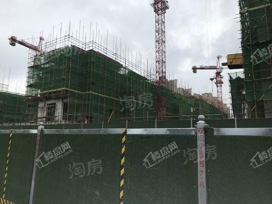 中南紫云集实景图