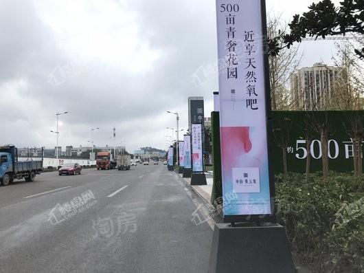 中南紫云集实景图