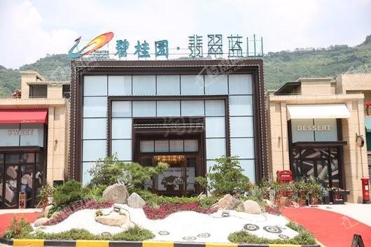 碧桂园·翡翠蓝山实景图