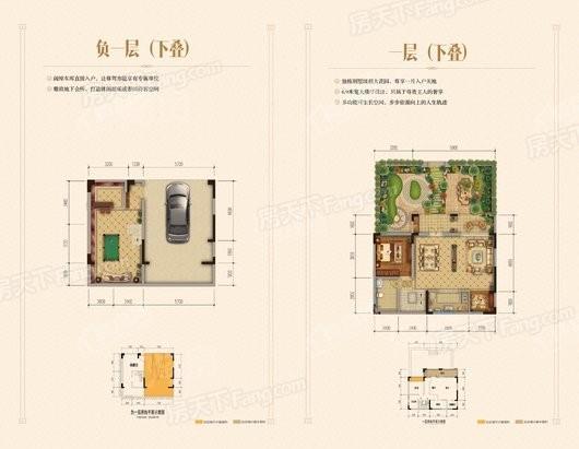 国盛天鹅墅星空叠墅B户型下叠一层 4室2厅2卫1厨