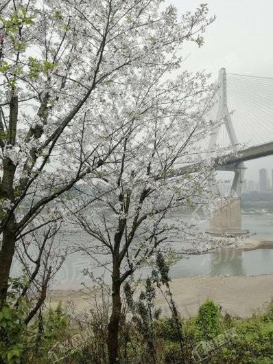 龙湖春江天镜配套图