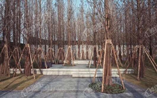 万科森林公园实景图